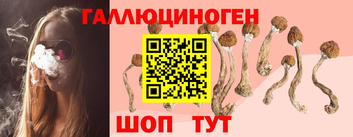 Галлюциногенные грибы Psilocybine cubensis  Галлюциногенные грибы Psilocybe  Лабытнанги  Вход с VPN 